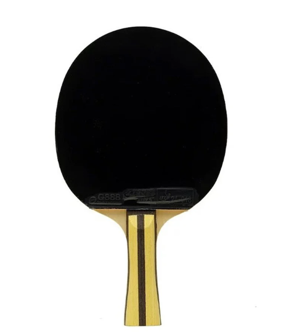 DHS 4 Star Table Tennis Bat Racket (Hurricane 3 + G888 Rubber)